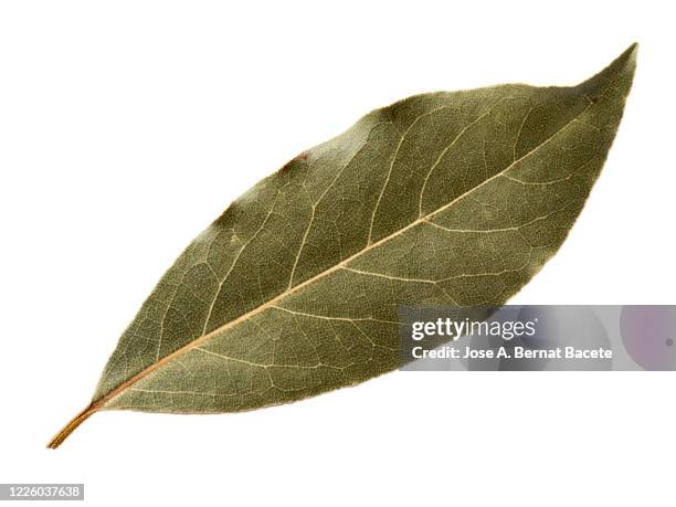 close-up of dried bay leave for cooking on a white background. - laurel ストックフォトと画像