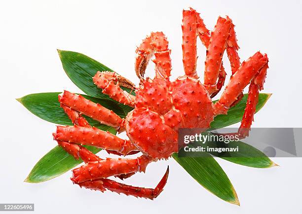 king crab - alaskan king crab foto e immagini stock