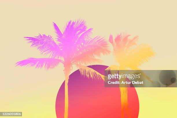 retro style background of miami with palm tree and big dawn sun. - palmera fotografías e imágenes de stock