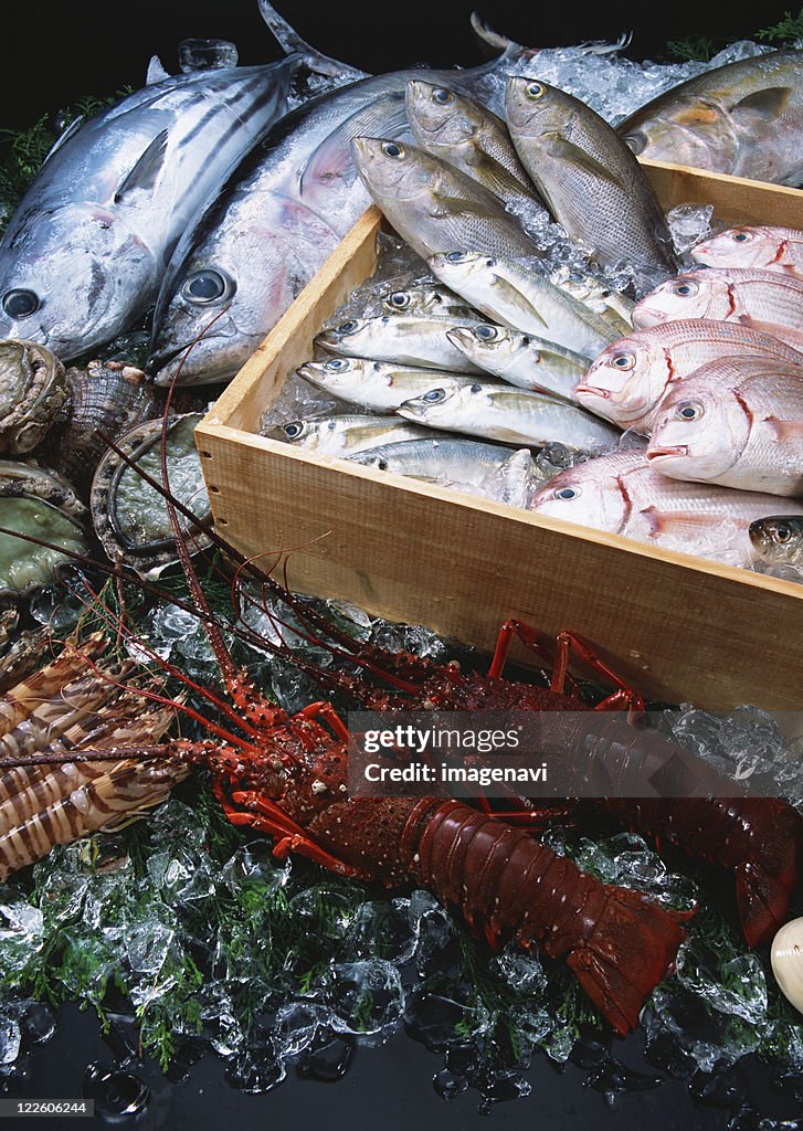 Fishery Products