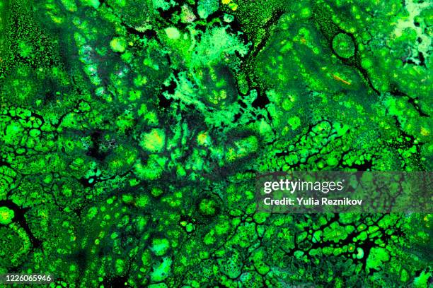 Microbe Texture Microbe Texture Photos and Premium High Res Pictures - Getty Images
