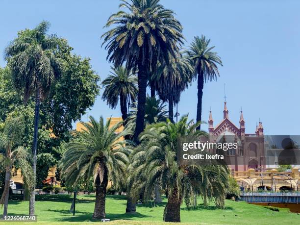 recoleta, buenos aires - la recoleta stock pictures, royalty-free photos & images