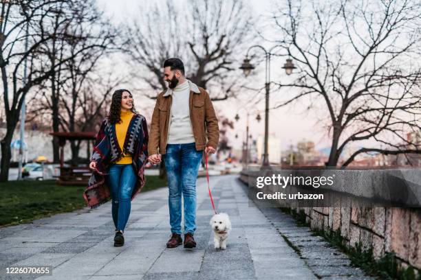 couple with dog enjoying a walk in the park - havanese stock pictures, royalty-free photos & images
