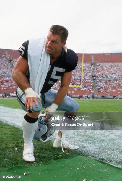 Howie Long of the Los Angeles Raiders looks on from the sidelines against the Kansas City Chiefs during an NFL football game November 25, 1990 at the...