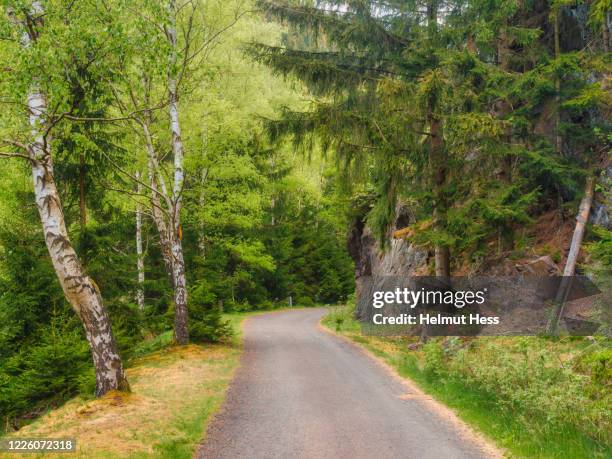 romantic footpath in the thuringian forest - luisenthal stock pictures, royalty-free photos & images