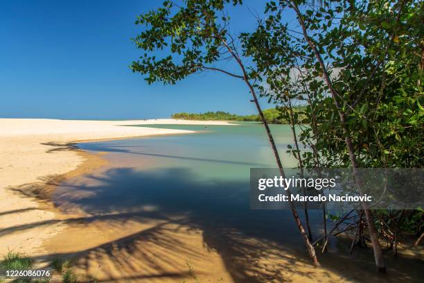 trancoso beach , bahia , brazil - trancoso - fotografias e filmes do acervo