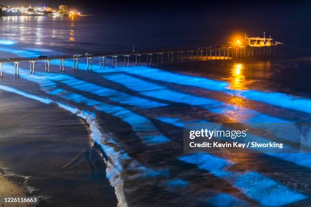 beautiful blue bioluminescence at scripps pier - red tide california stock pictures, royalty-free photos & images