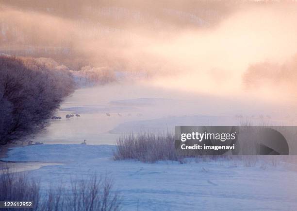 damp plain of winter - kushiro stock pictures, royalty-free photos & images