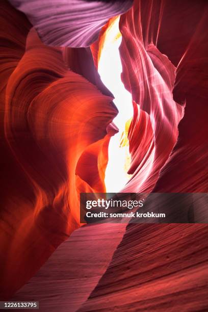 antelope with sunlight - canyon imagens e fotografias de stock