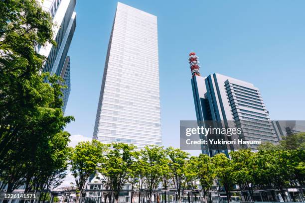 cityscape of saitama shintoshin, saitama prefecture, japan - japanese zelkova stock pictures, royalty-free photos & images