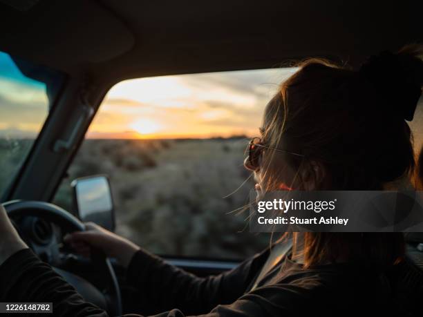 young women drives car on sunset with window down - female bush photos stockfoto's en -beelden
