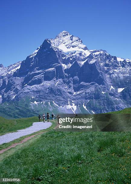 wetterhorn - wetterhorn stock pictures, royalty-free photos & images