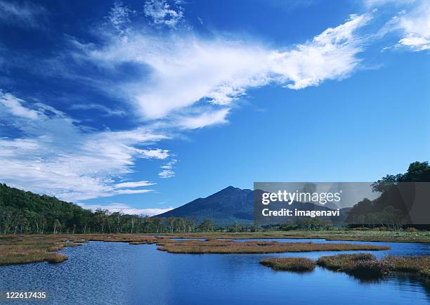 marshland - oze national park stock pictures, royalty-free photos & images