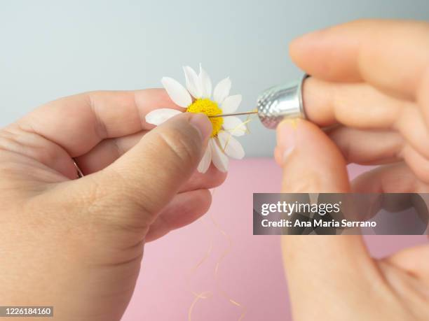 the hands of a person sewing a daisy with a sewing needle and yellow thread and with a metallic thimble on the finger - biosphere planet earth stockfoto's en -beelden