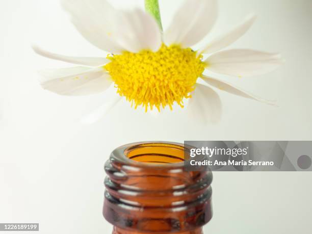 macro photography of a daisy (field chamomile - anthemis arvensis) on top of a medicine bottle. homeopathy or natural medicine concept - oil macro stock pictures, royalty-free photos & images