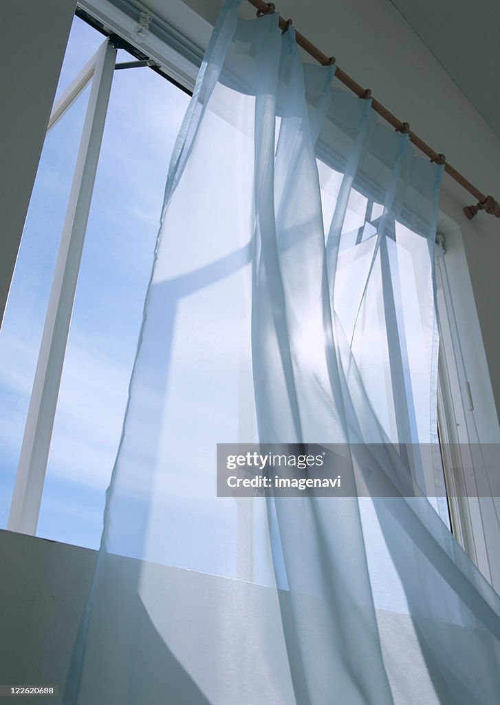 Sheer window panel and window