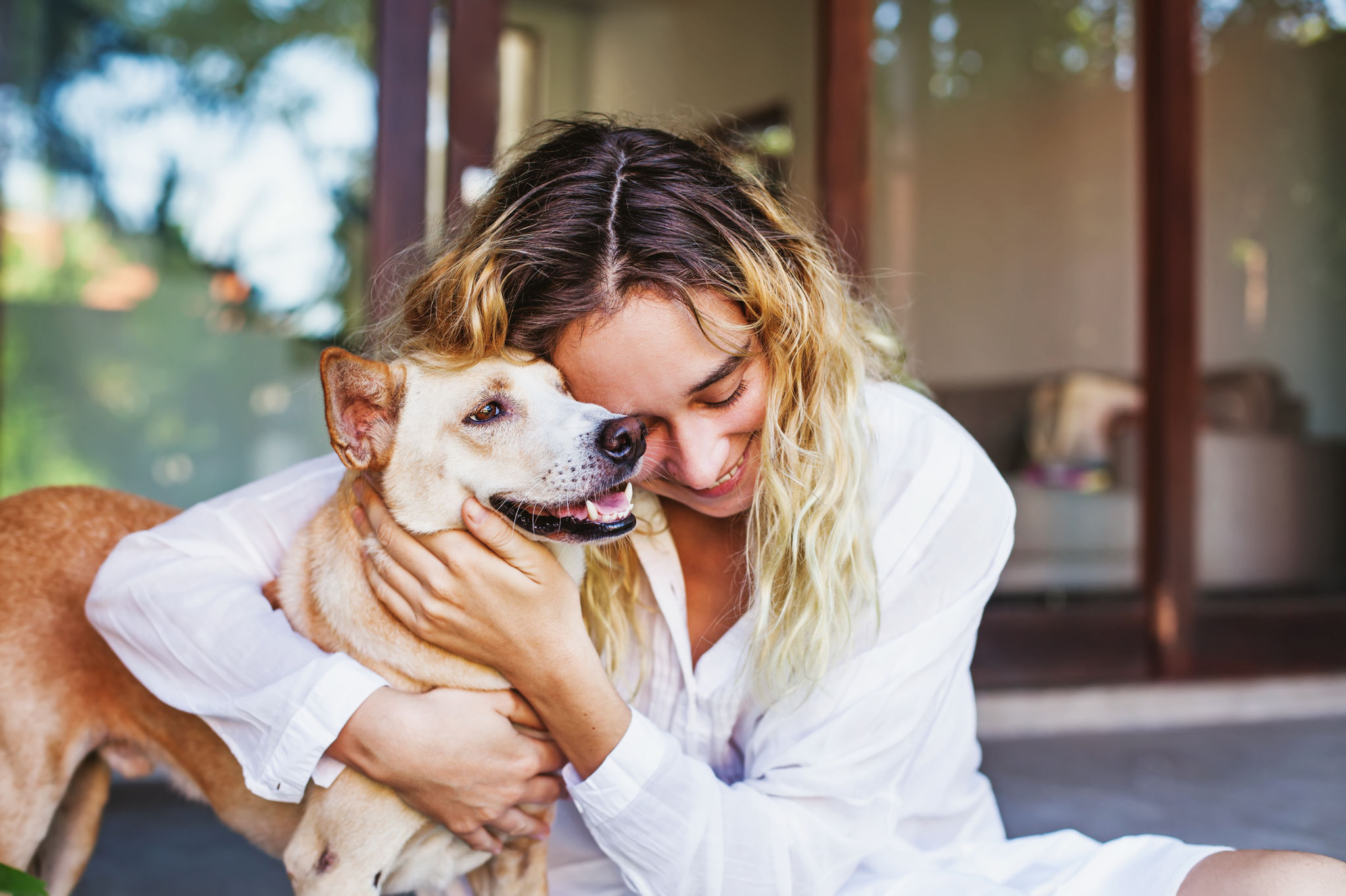 dog friendly home