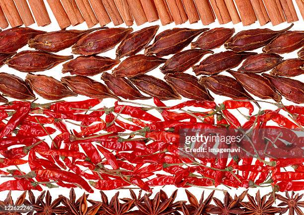 spices - gardenia pattern stock pictures, royalty-free photos & images