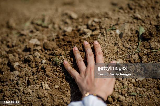 Bosnian Muslim woman touches freshly dug grave of her father, a victim of Srebrenica genocide on July 11, 2020 at the cemetery in Potocari near...