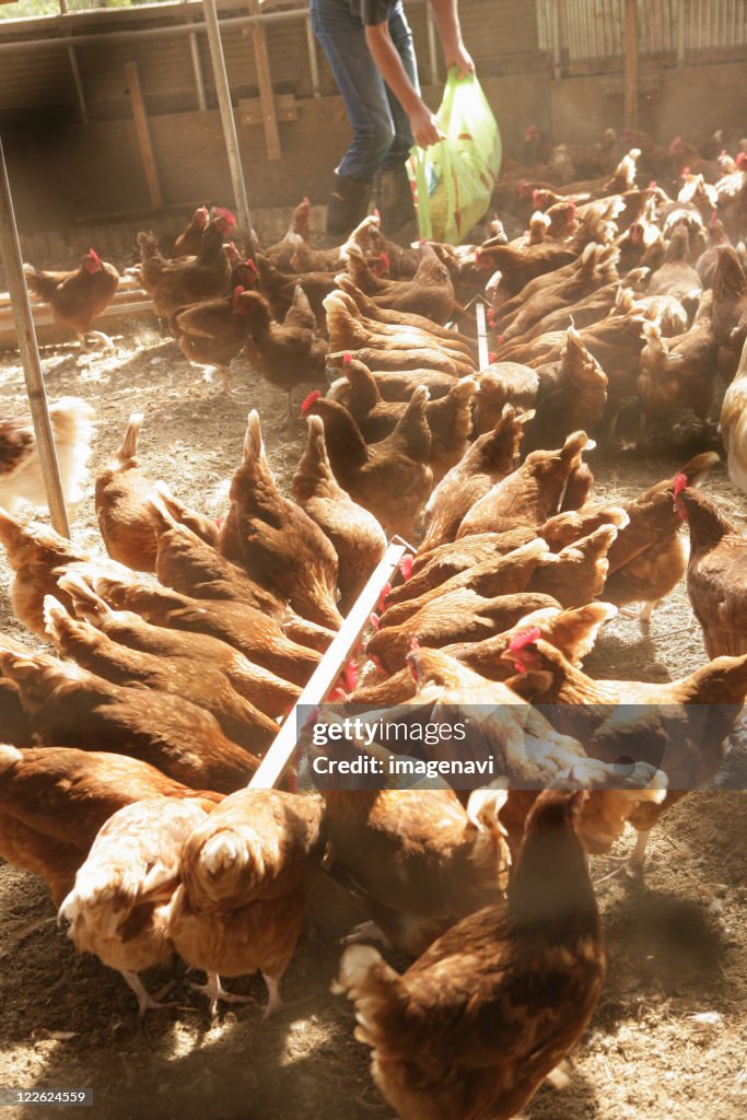 Organic henhouse