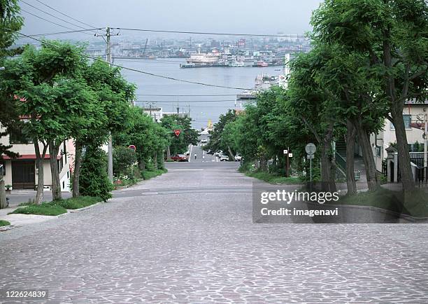 avenue - hokkaido city stock pictures, royalty-free photos & images