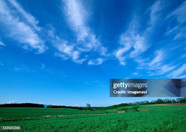 grassy plain - cirrus ストックフォトと画像