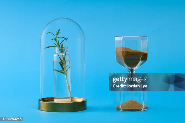 it takes time to grow - bell jar ストックフォトと画像