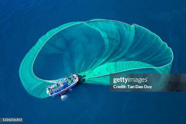 gorgeous anchovy-catching scenes in hon yen islet, aerial view from phu yen province, vietnam. - fischen stock-fotos und bilder