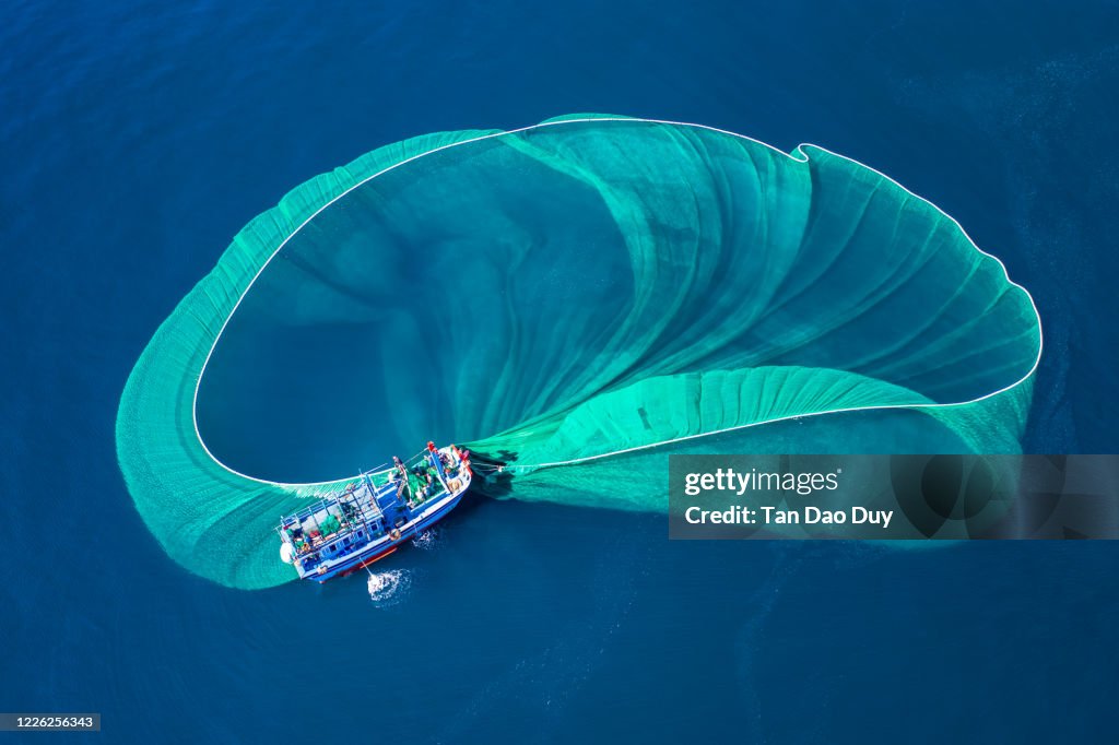 Gorgeous anchovy-catching scenes in Hon Yen islet, aerial view from Phu Yen Province, Vietnam.