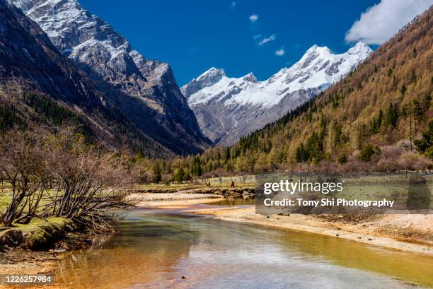 changping valley - mount siguniang, xiaojin county, sichuan china - região autónoma do tibete imagens e fotografias de stock