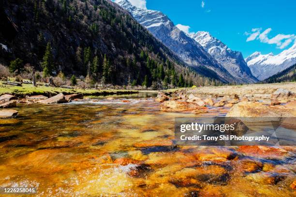 changping valley - mount siguniang, xiaojin county, sichuan china - região autónoma do tibete imagens e fotografias de stock