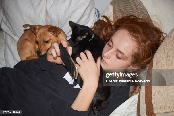 teenage girl lying in her bed with a dog and a cat curled up on top of her and she is on her smartphone. shot is taken from above looking down on her. - i love new york fotografías e imágenes de stock