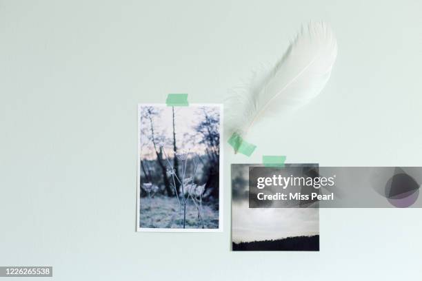 nostalgic printed photos taped to wall - album de fotos fotografías e imágenes de stock