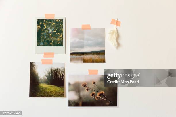 nostalgic printed photos taped to wall - ausdrucken stock-fotos und bilder