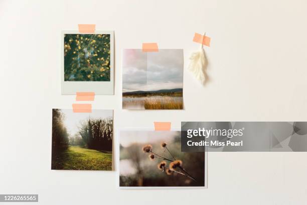 nostalgic printed photos taped to wall - memories stock pictures, royalty-free photos & images