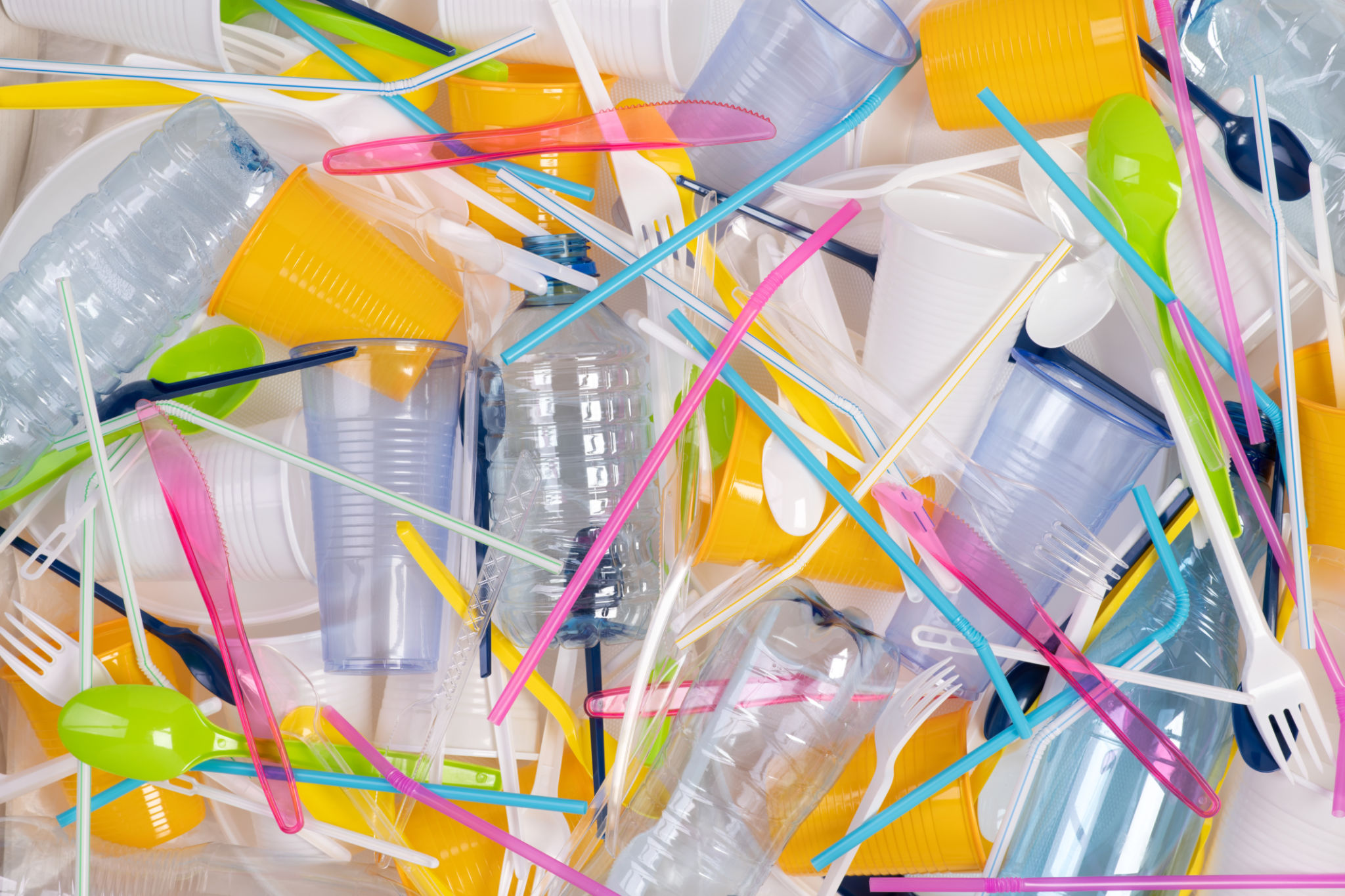 disposable tableware