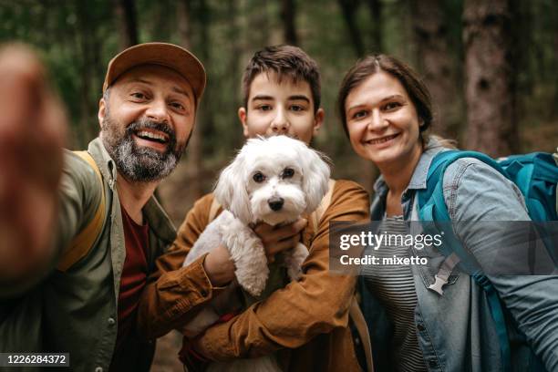 familien-selfie - boy taking picture in forest stock-fotos und bilder