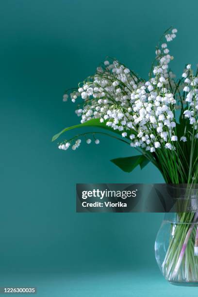 lilien des tals (convallaria majalis) - blumenstrauß in einer vase auf einem petrol hintergrund - aquamarin edelstein stock-fotos und bilder