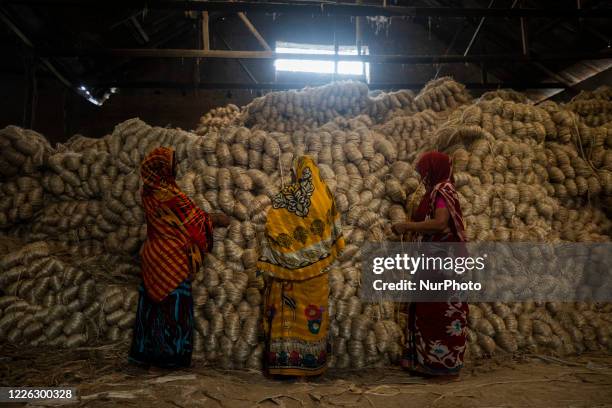 Jute Processing 246 Jute Processing Stock Photos, High-Res Pictures, and Images - Getty ...