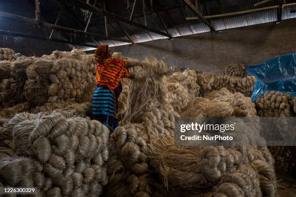 Jute Processing 230 Jute Processing Stock Photos, High-Res Pictures, and Images - Getty ...