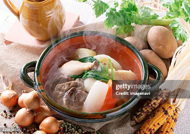 pot-au-feu - pot au feu imagens e fotografias de stock