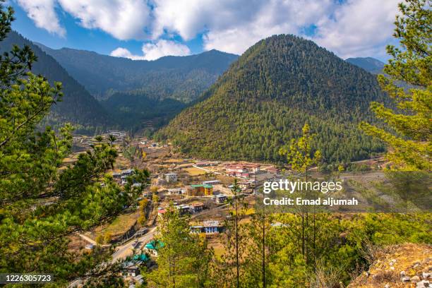 haa valley, bhutan - disparo bildbanksfoton och bilder