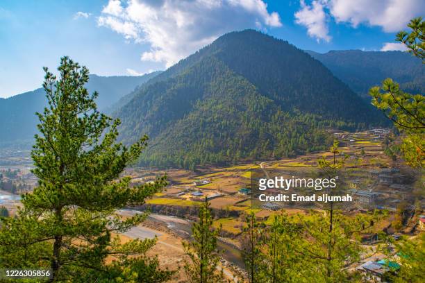 haa valley, bhutan - disparo bildbanksfoton och bilder
