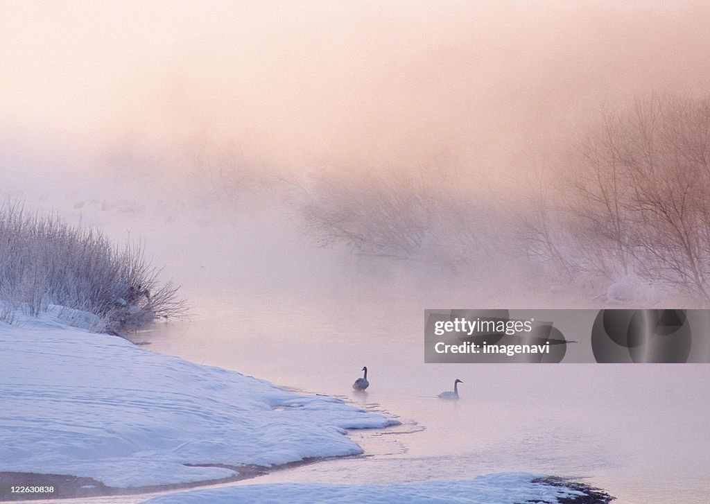 River in Winter