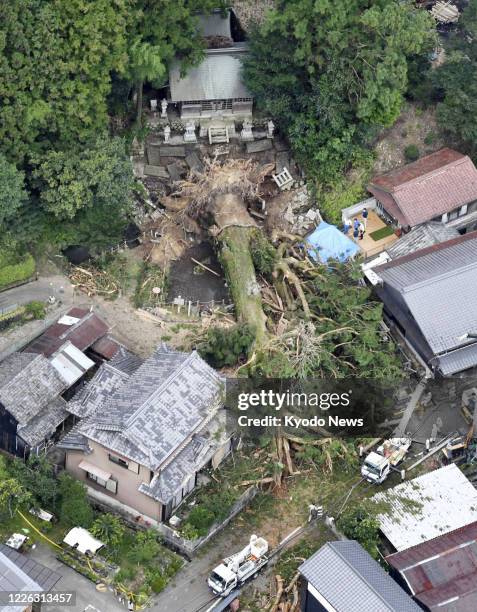 Photo taken from a Kyodo News helicopter over Shinmei Shrine in Mizunami in Gifu Prefecture, central Japan, on July 12 shows a sacred tree, more than...