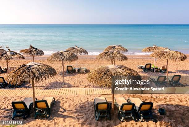 lounge chairs and thached umbrellas on the beach, high angle view - アンタルヤ県 ストックフォトと画像