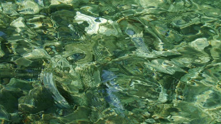 imagen en miniatura de vídeo