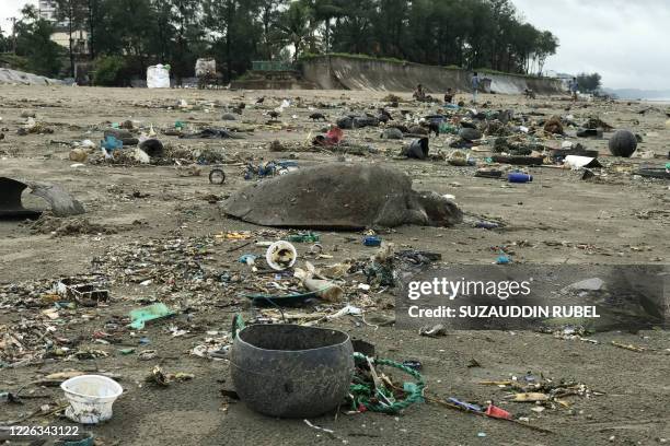 Dead sea turtle is seen on a beach in Cox's Bazar on July 12, 2020. - About 160 sea turtles, many of them injured after getting entangled in plastic...