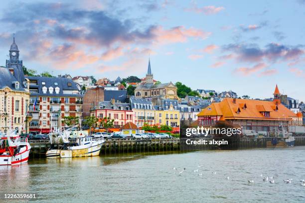 pamorama van trouville-sur-mer - trouville sur mer stockfoto's en -beelden