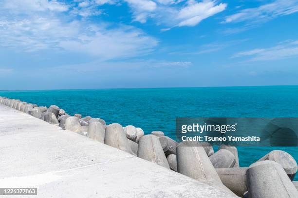 the tetrapod and the sea - groyne stock pictures, royalty-free photos & images